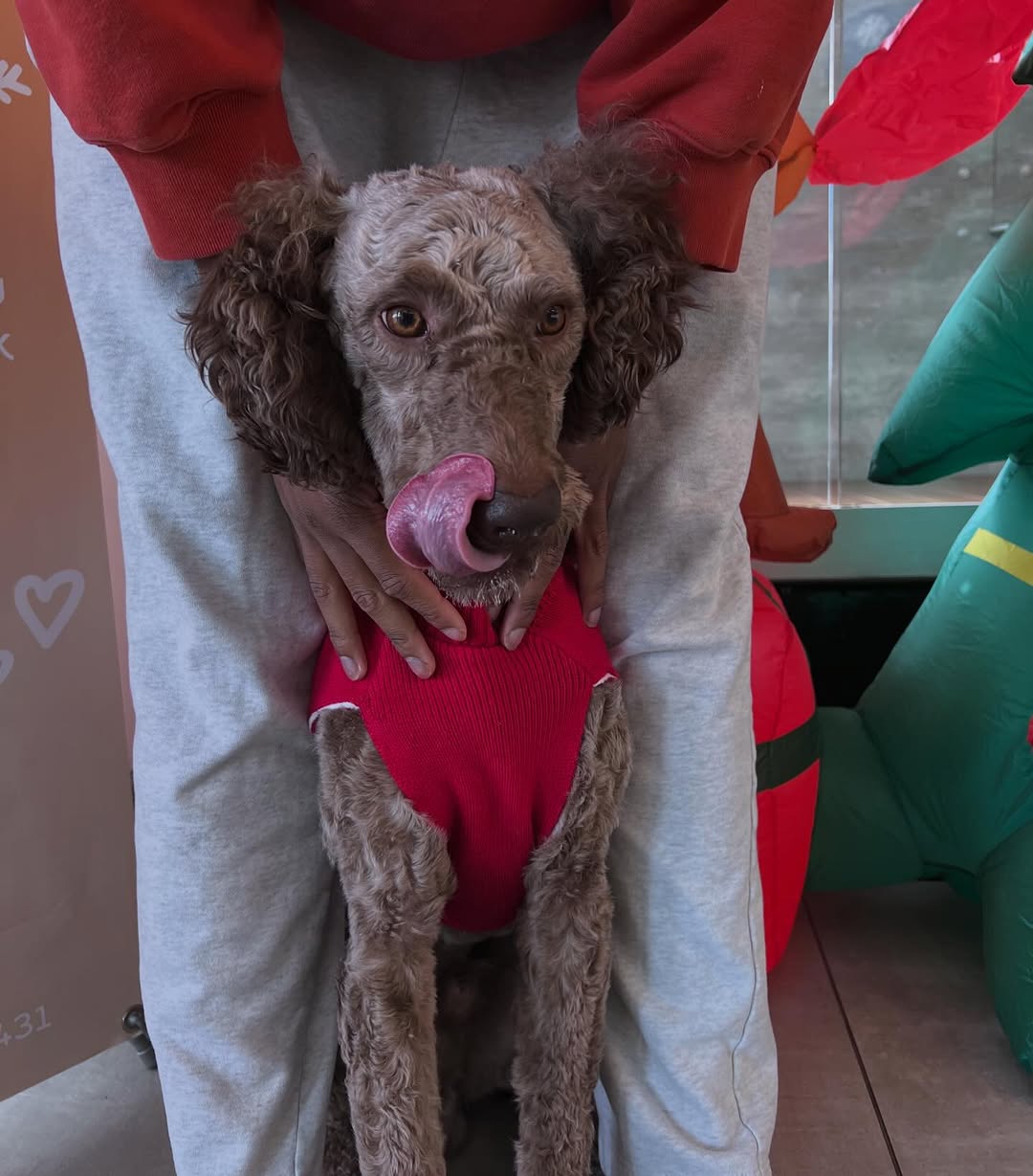 University Park is pet-friendly \ud83d\udc3e The perfect spot for fresh air, a walk, and some quality time with your fur buddies. \ud83c\udf33\ud83d\udc36