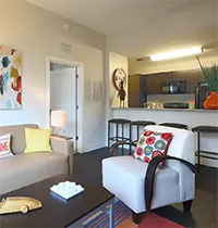 Open Living Room and Kitchen at University Park