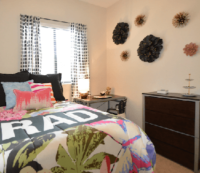 Student 3 Bedroom Apartments