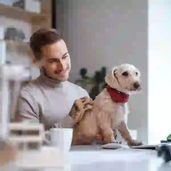FAU student resident at desk with their puppy