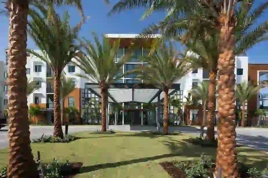 Trees at front entryway of University Park