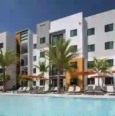 Palm Trees and Pool in Boca Raton, FL